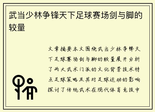 武当少林争锋天下足球赛场剑与脚的较量