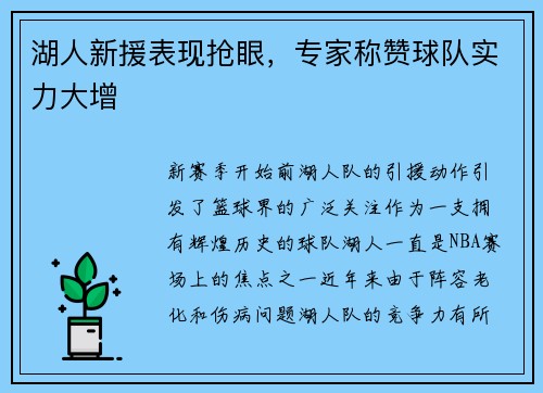 湖人新援表现抢眼，专家称赞球队实力大增